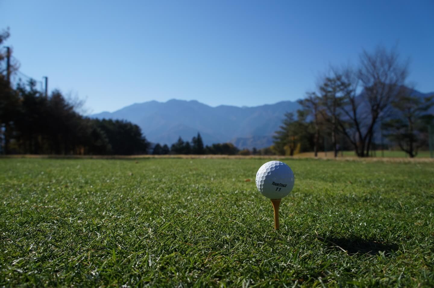 ゴルフで怪我させた、盗難された！ゴルフ事故当事者になったらどうする