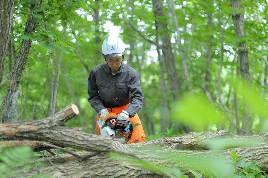 林業に損害保険は必要？労災保険以外の事業を守る保険も加入すべき？