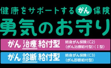 SOMPOひまわり生命 勇気のお守り